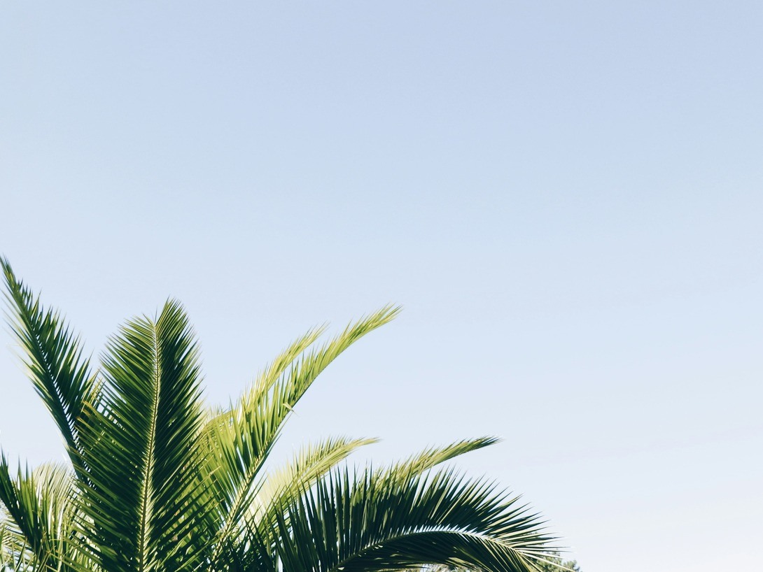 Vakantie | Eetkamer Goirle